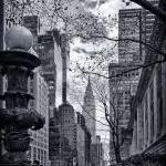 York City Architecture Photo Black &..