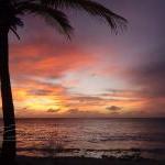 Sunset Photo Ocean Palm Tree Clouds Purple Orange..