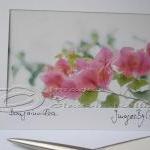 Greeting Photo Card Pink Flower Photo Fine Art..