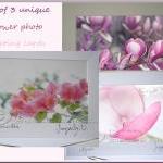 Greeting Card Set Photo Greeting Card Pink Flower..