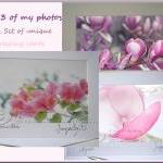 Greeting Card Set Any 3 Of My Photos As A Greeting..