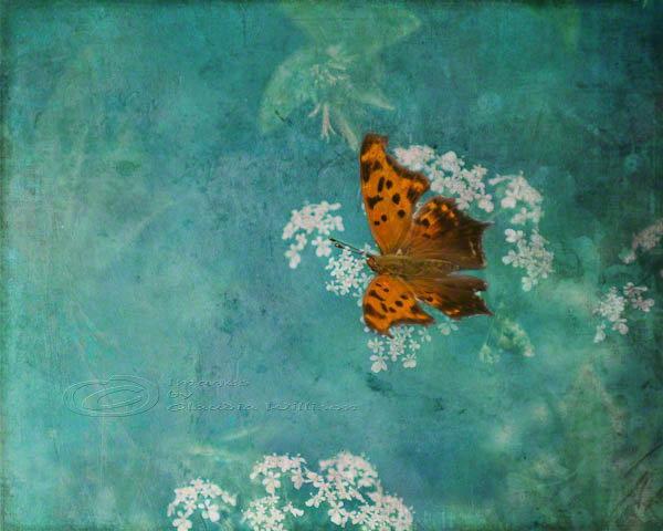 Butterfly Photo Nursery Decor Art Photo Mint Green Orange White 8x10" Print