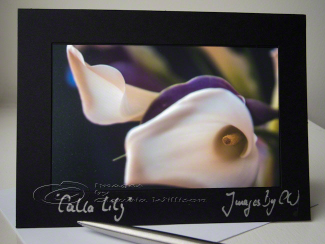 Greeting Photo Card Flower Photo Card White Calla Lily 5x7"