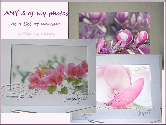 Greeting Card Set Any 3 Of My Photos As A Greeting Card
